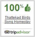 Thattekkad Birds Song Homestay